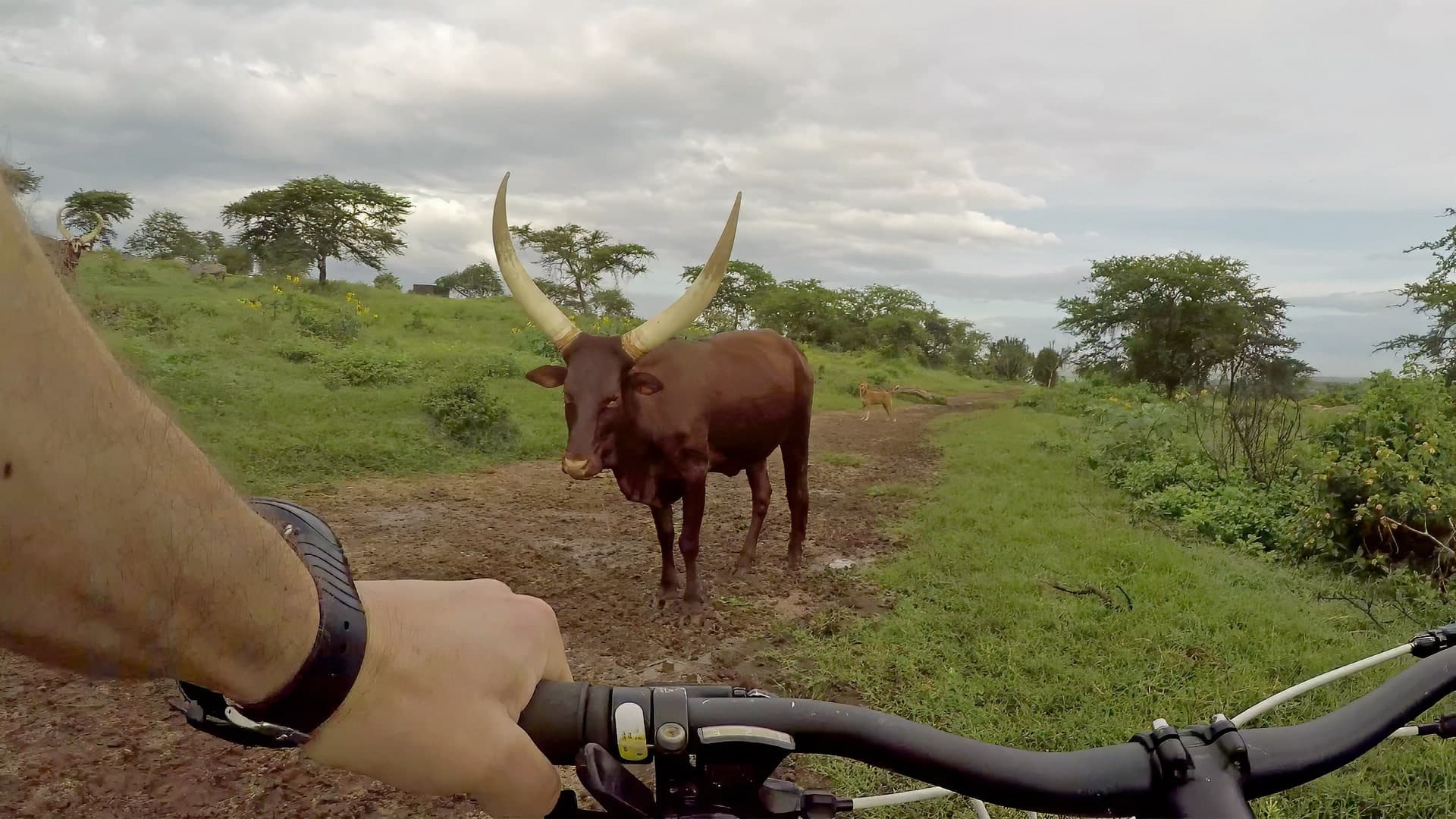 Uganda Cycling - Adventure on Two Wheels (16 days)