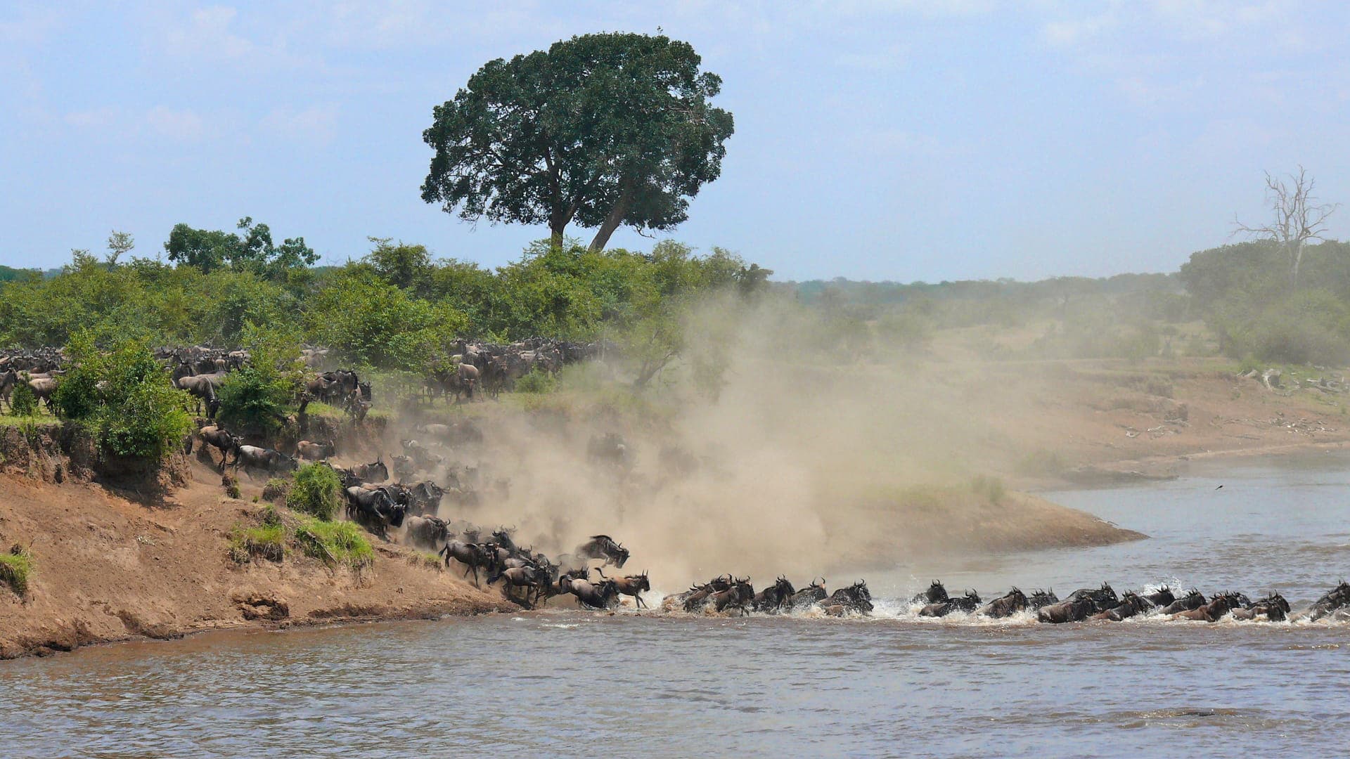 Tanzania’s Great Wildebeest Migration Safari (10 days)