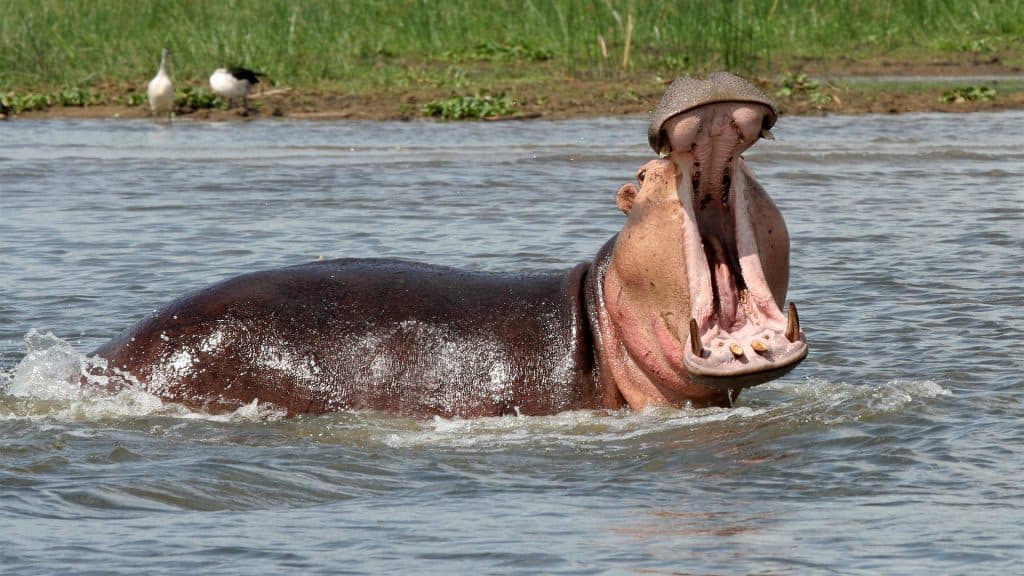 Tours Uganda